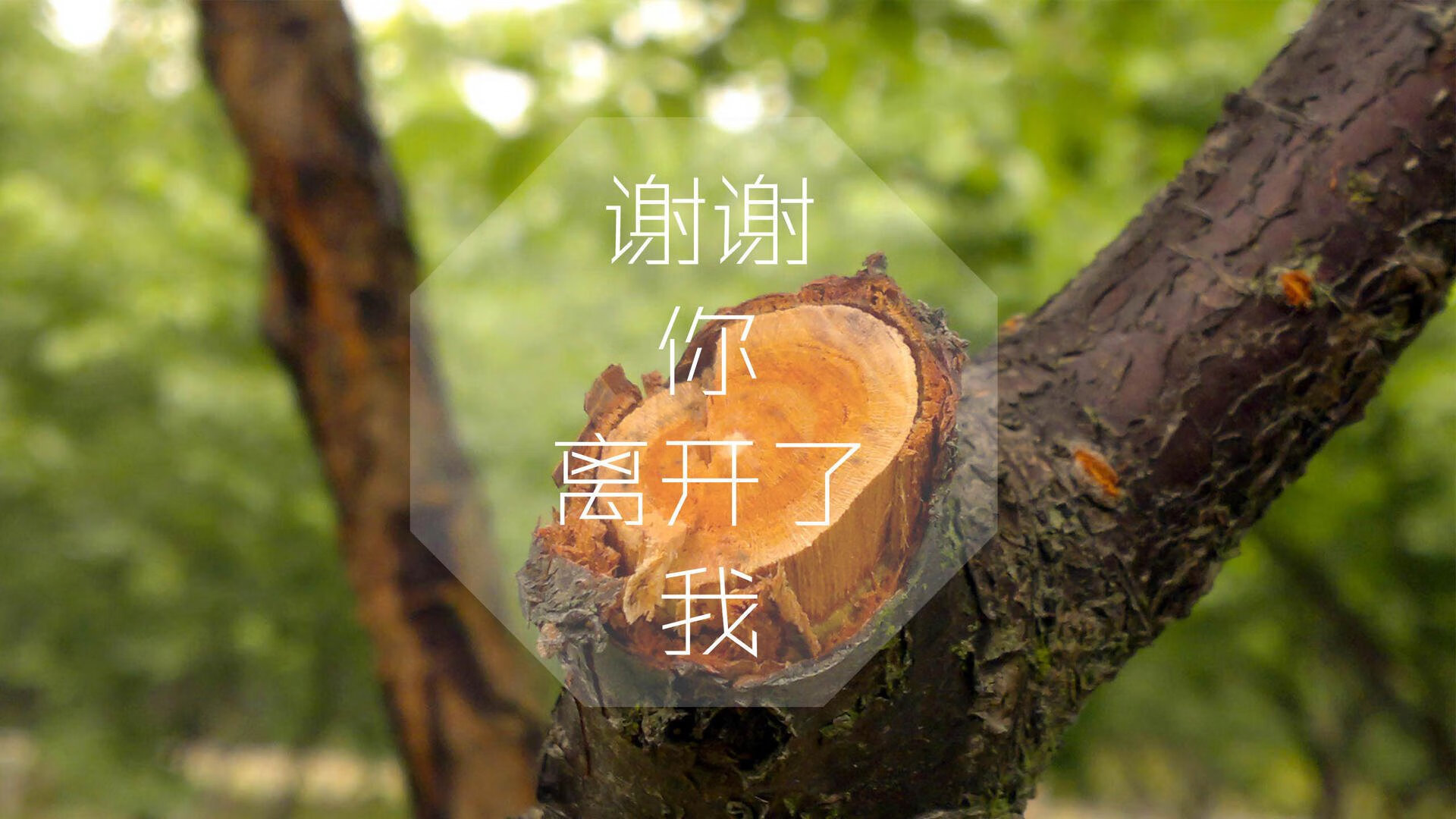 乡村篮球运动示范项目持续推广，促进基层体育普及，乡村篮球活动照片