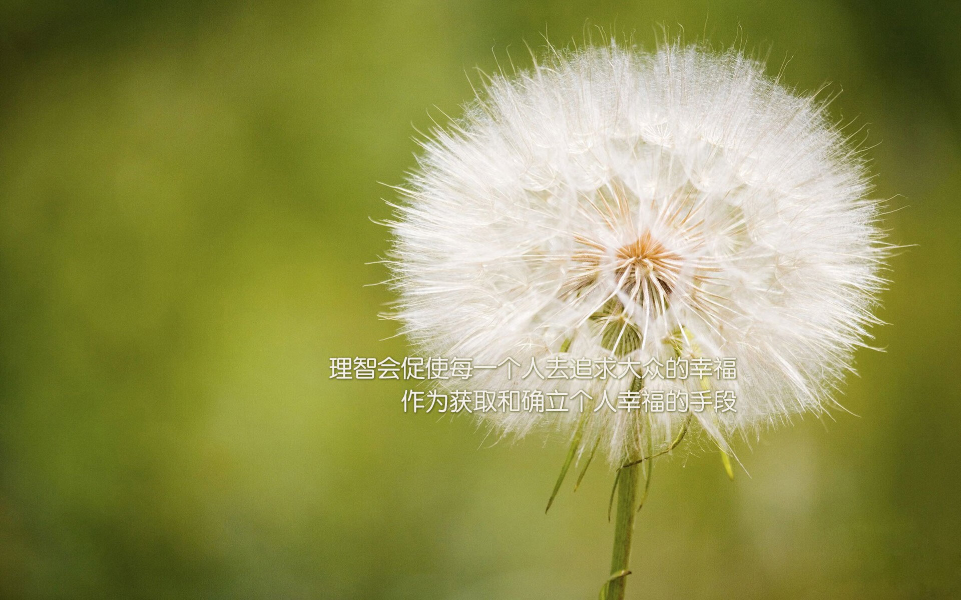 利兹联主场迎战埃弗顿，双方实力对比如何？，利兹联对埃弗顿预测