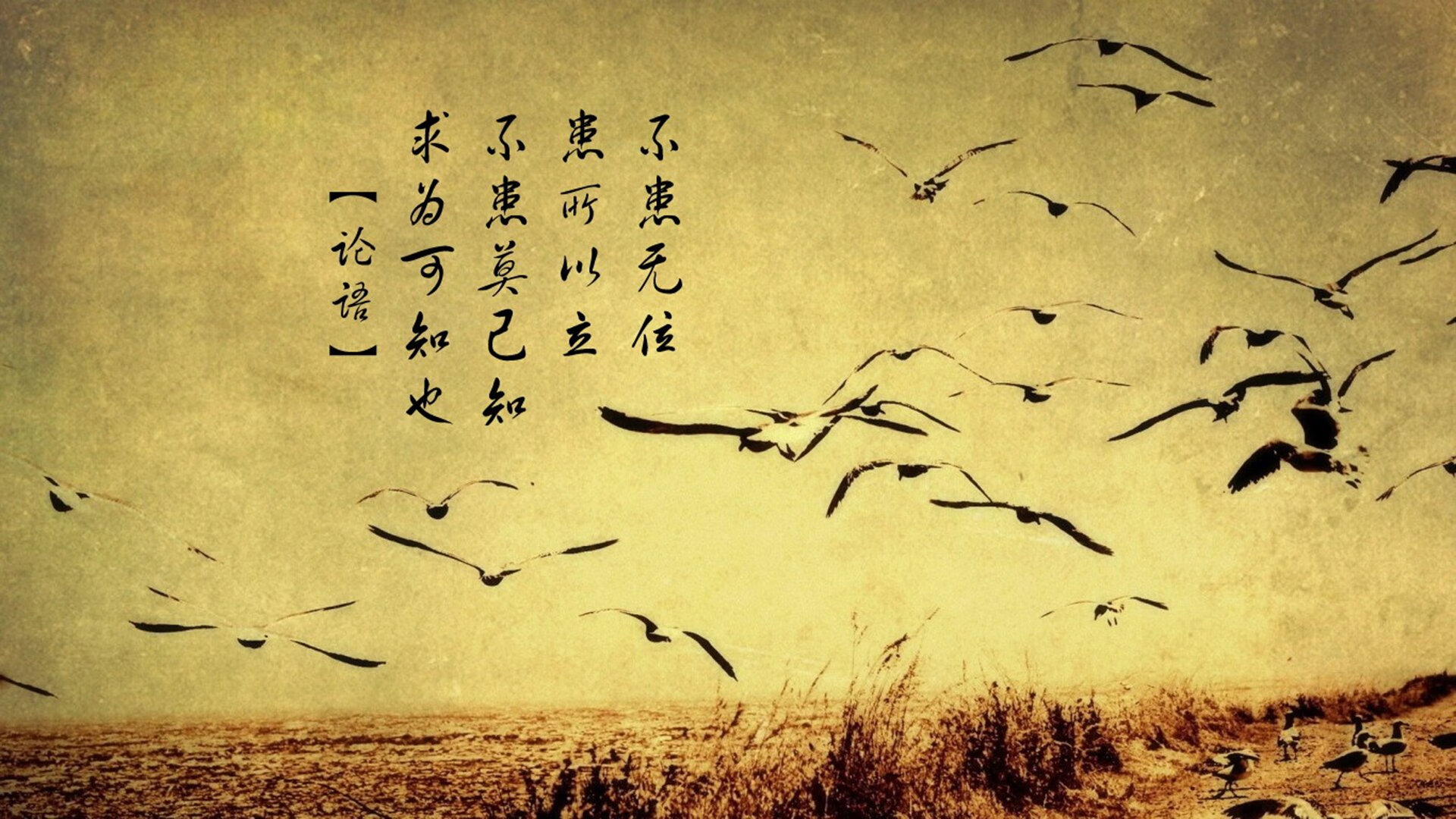 卢森堡出其不意地逆袭，展现实力优势，为什么卢森堡这么有钱
