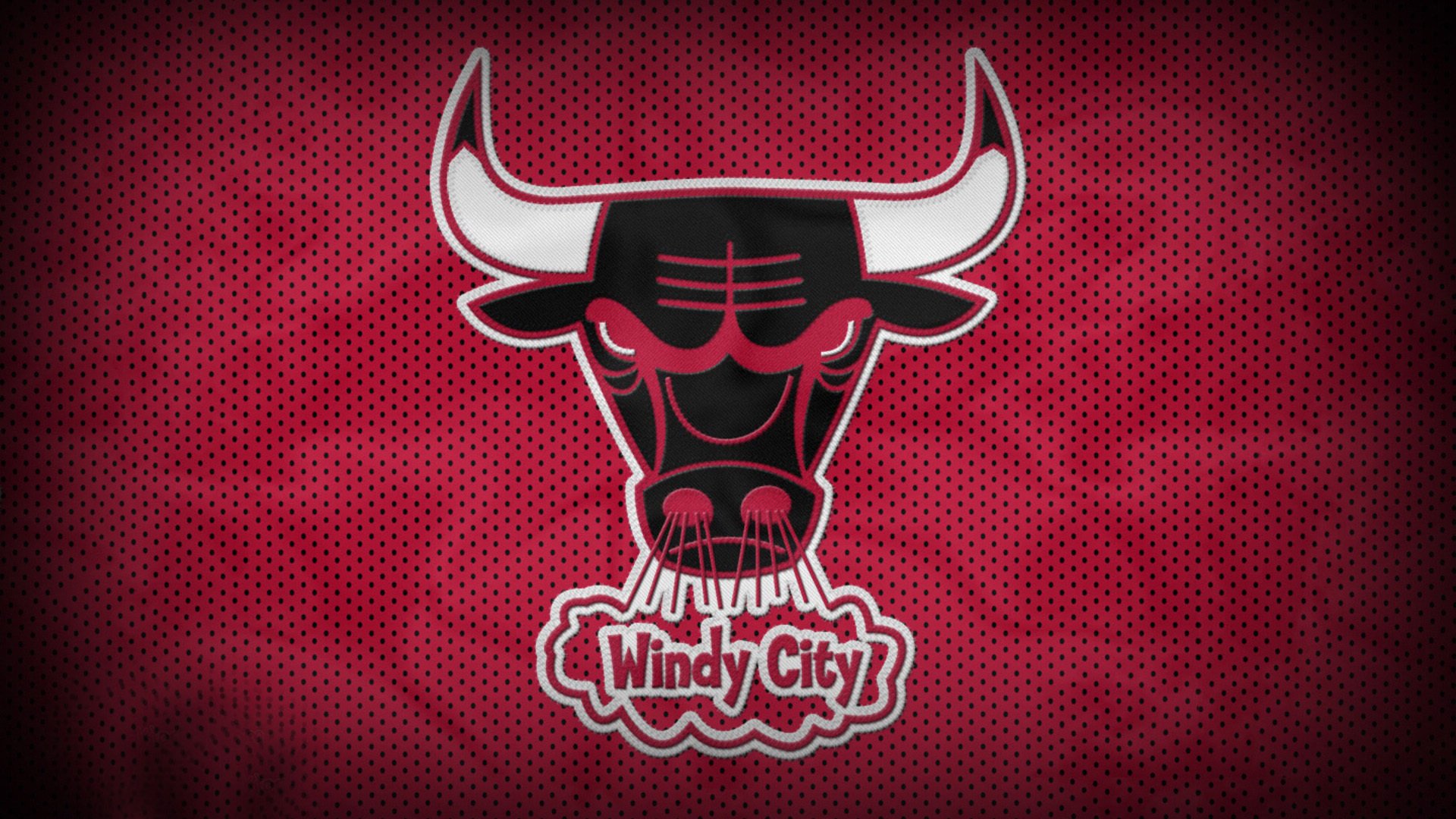 掘金核心举办“宠物慈善赛”，萌宠与篮球同台