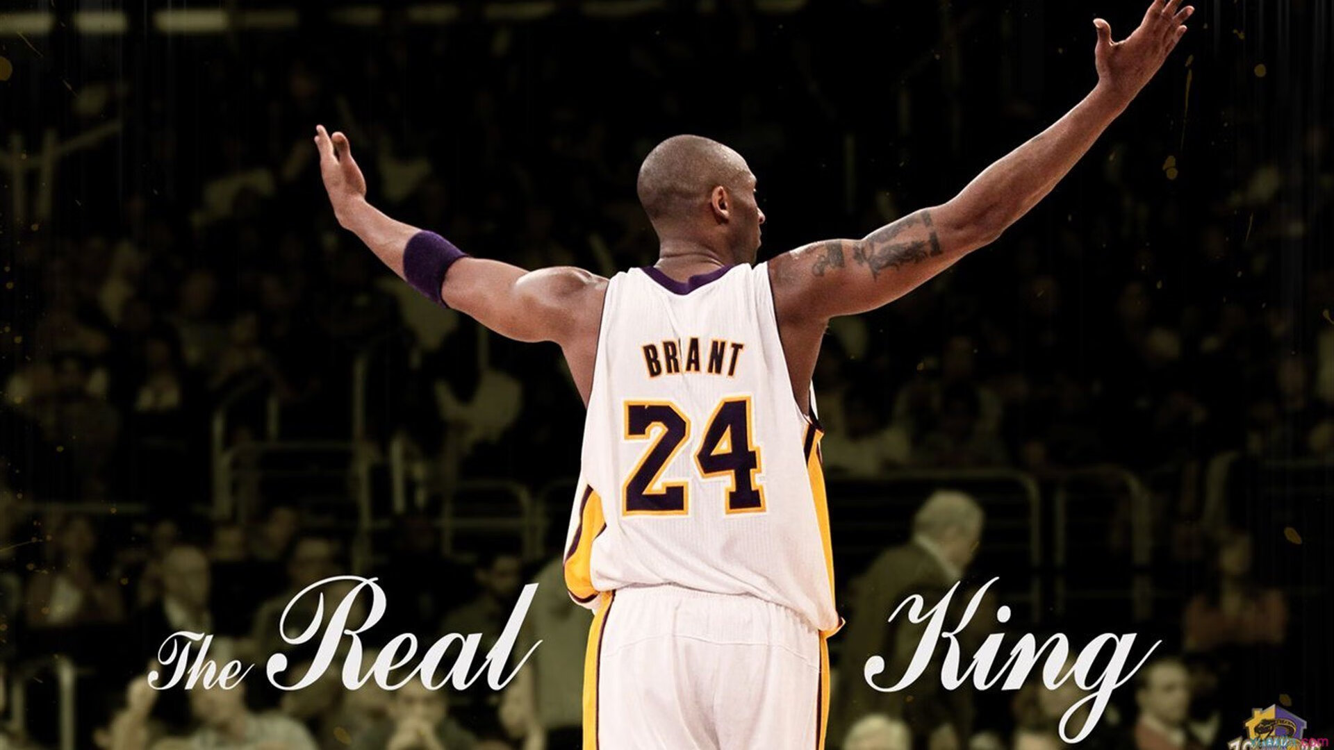 球场“终极对决”回顾：经典之战永不退色，终极对决 足球